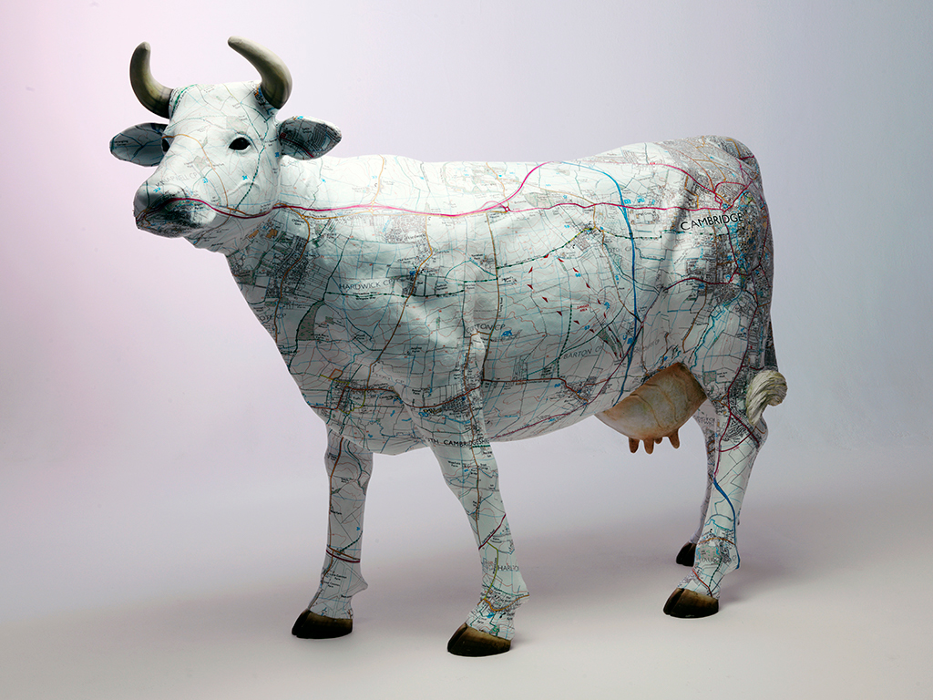 Weslet West Cow printed with OS map